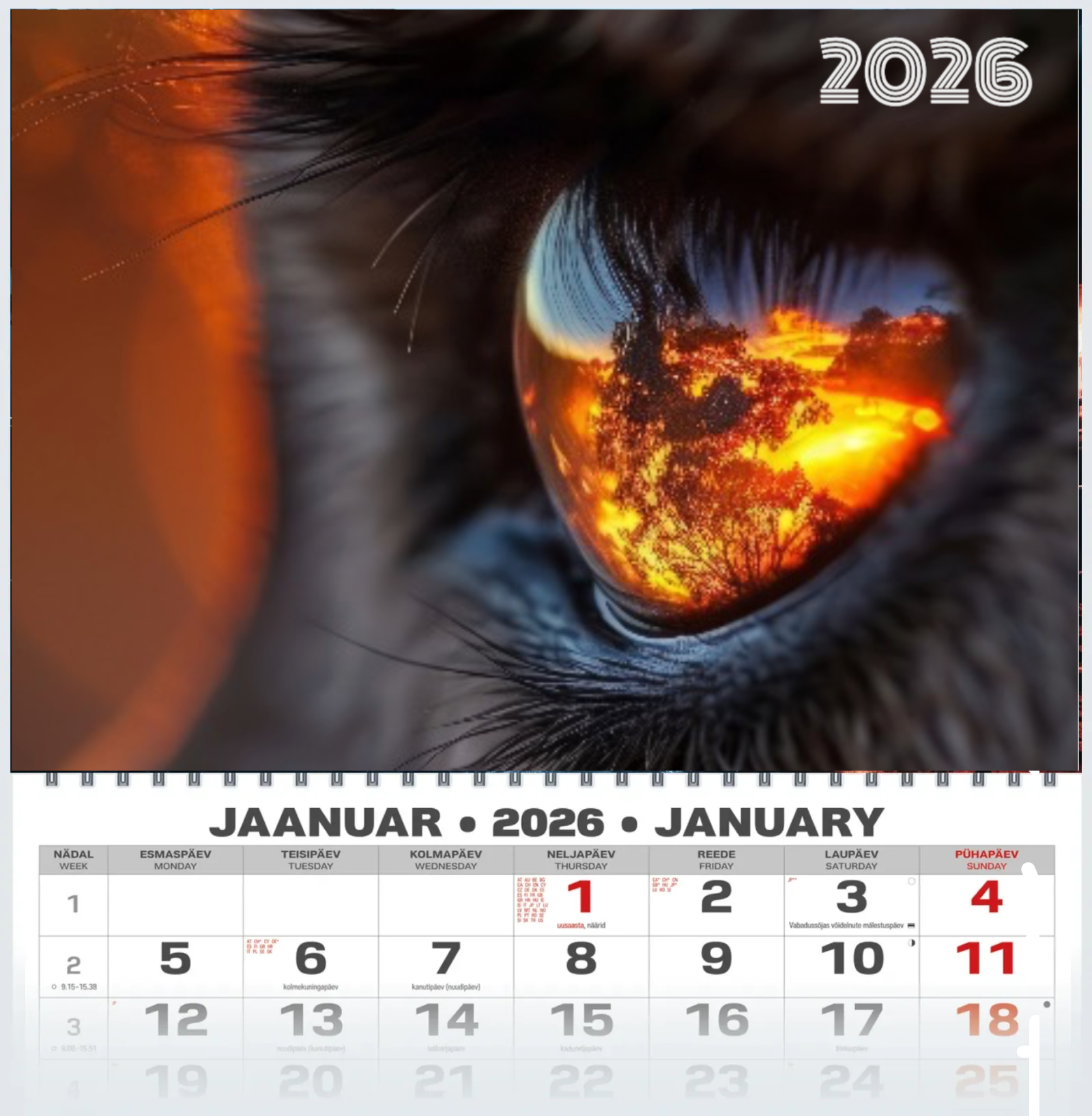 EYE 2026